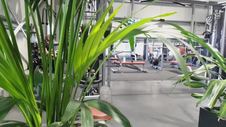 fitbox cleon bodys studio